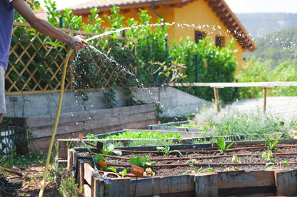 meettheecobroker garden