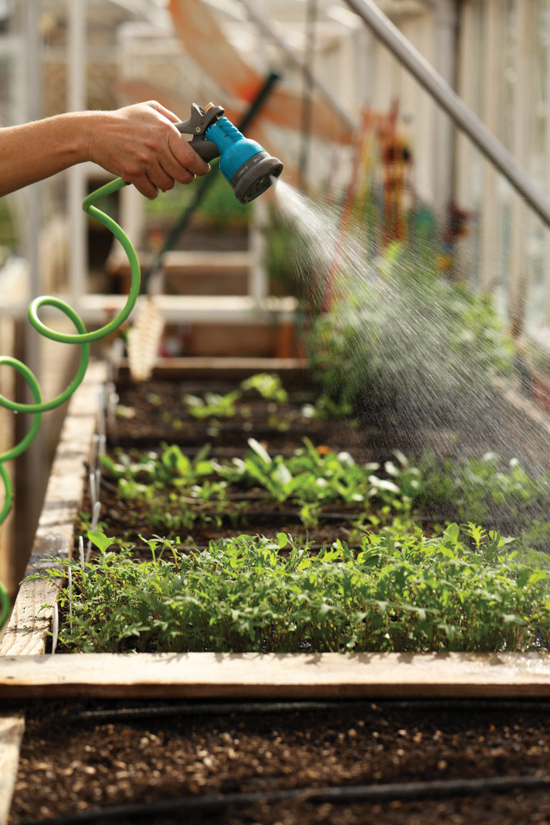 Getting the Crop Started